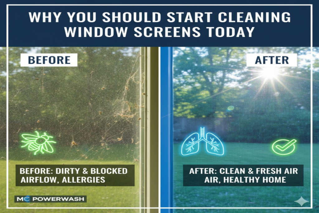 Why You Should Start Cleaning Window Screens Today